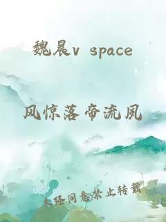 魏晨v space